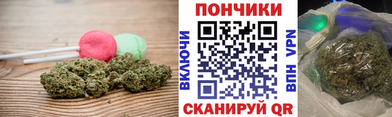 Cannafood марихуана Звенигород