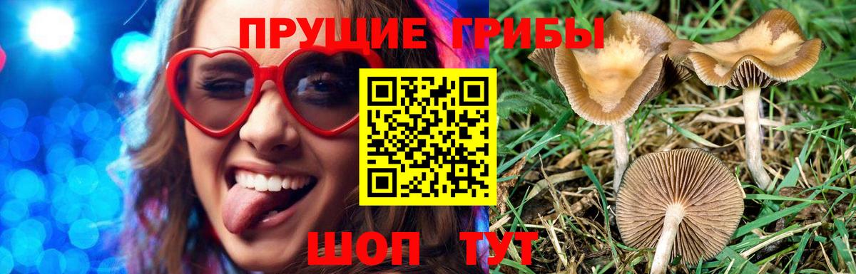 Меф Звенигород