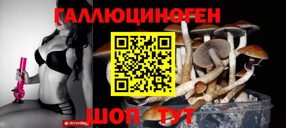 купить наркотики цена  Галлюциногенные грибы Cubensis  Вход с VPN  Звенигород 